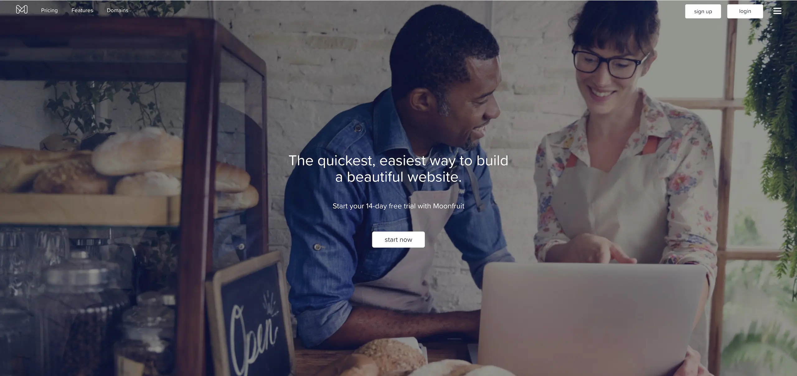Moonfruit website